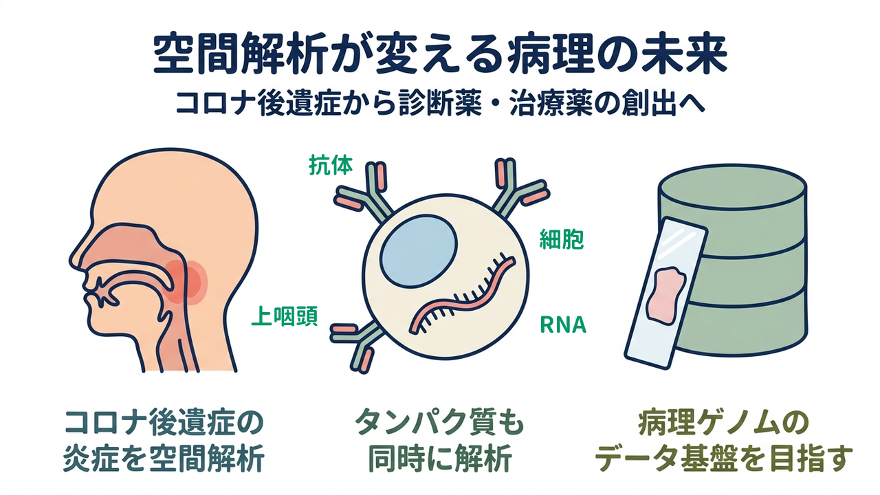 空間解析が変える病理の未来｜コロナ後遺症から診断薬・治療薬の創出へ｜コロナ後遺症の・炎症を空間解析／タンパク質も・同時に解析／病理ゲノムの・データ基盤を目指す