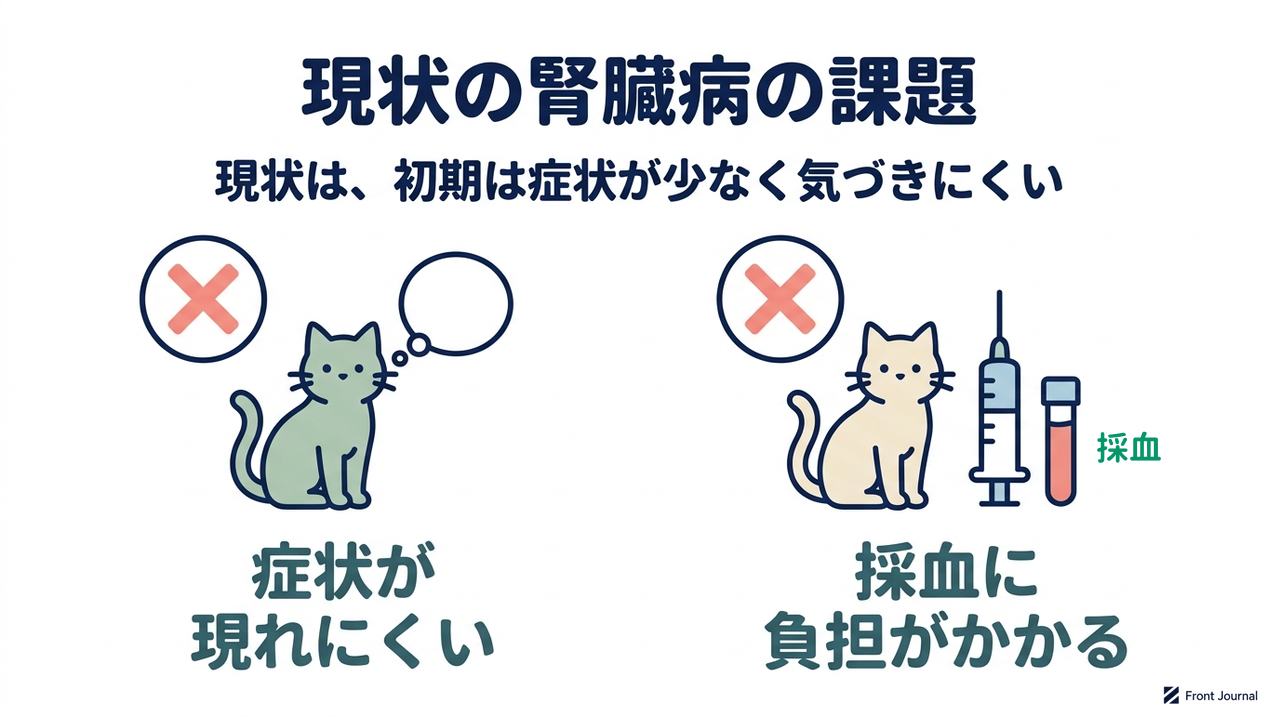 現状の腎臓病の課題
