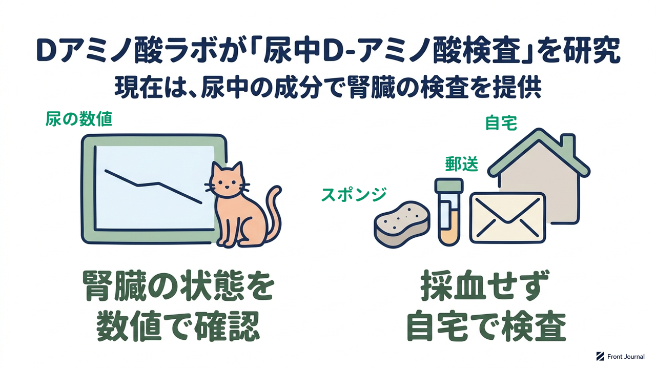 Dアミノ酸ラボが「尿中D-アミノ酸検査」を研究