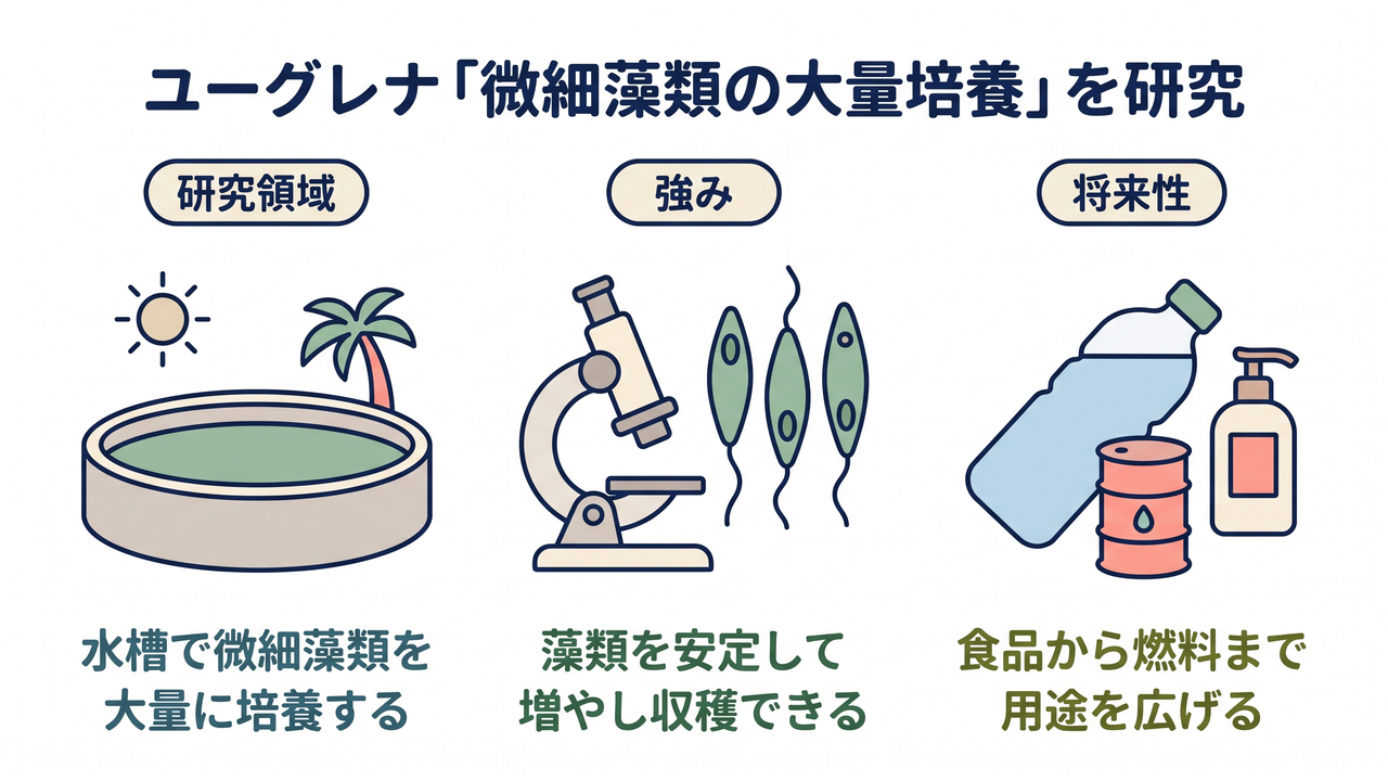 ユーグレナ「微細藻類の大量培養」を研究｜研究領域=水槽で微細藻類を大量に培養する／強み=藻類を安定して増やし収穫できる／将来性=食品から燃料まで用途を広げる