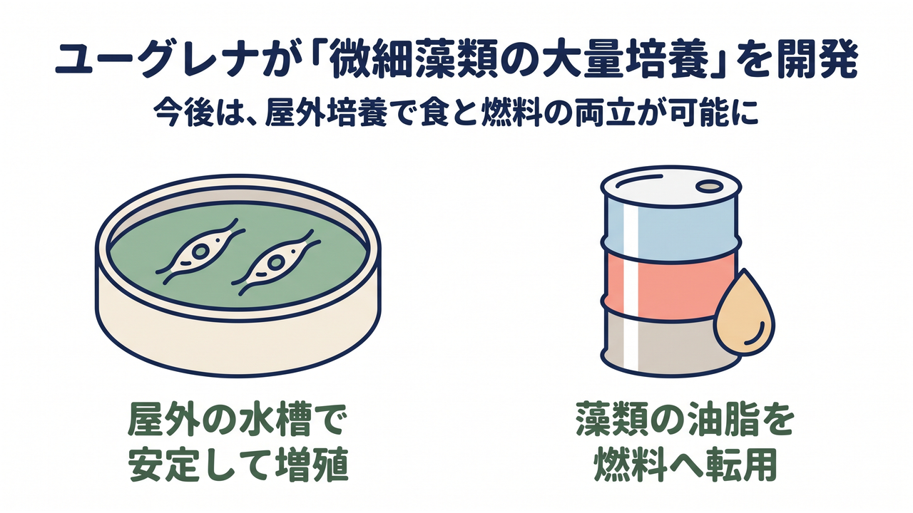 ユーグレナが「微細藻類の大量培養」を開発｜今後は、屋外培養で食と燃料の両立が可能に／屋外の水槽で安定して増殖／藻類の油脂を燃料へ転用