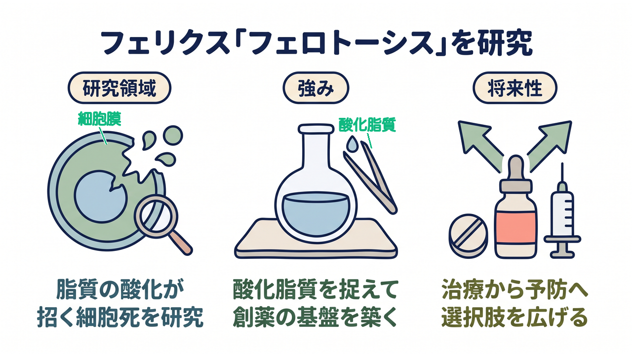 フェリクス「フェロトーシス」を研究|研究領域=脂質の酸化が、招く細胞死を研究/強み=酸化脂質を捉えて、創薬の基盤を築く/将来性=治療から予防へ、選択肢を広げる