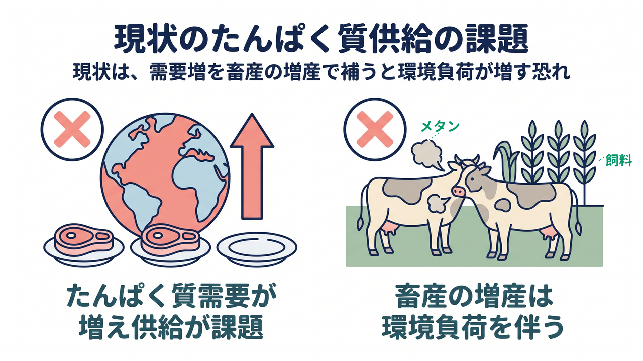 現状のたんぱく質供給の課題。たんぱく質の需要が増えて供給の確保が課題となり、需要増を畜産の増産で補うと環境負荷が増す恐れがある