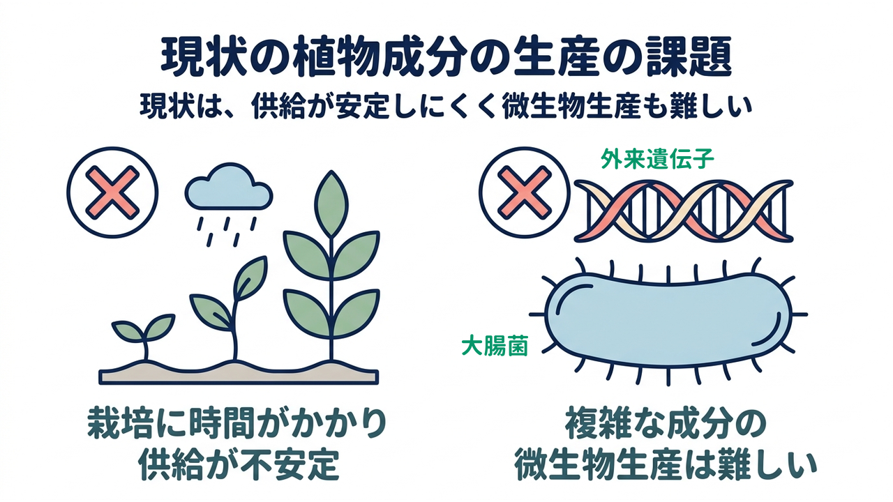 現状の植物成分の生産の課題