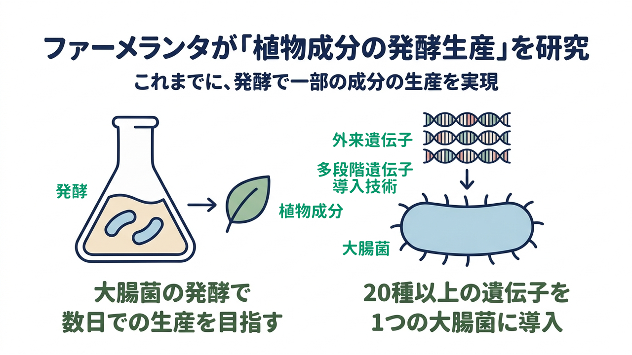 ファーメランタが「植物成分の発酵生産」を研究
