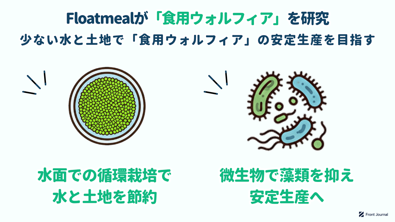 Floatmealが「食用ウォルフィア」を研究｜少ない水と土地で安定生産を目指す／水面での循環栽培で水と土地を節約／微生物で藻類を抑え安定生産へ