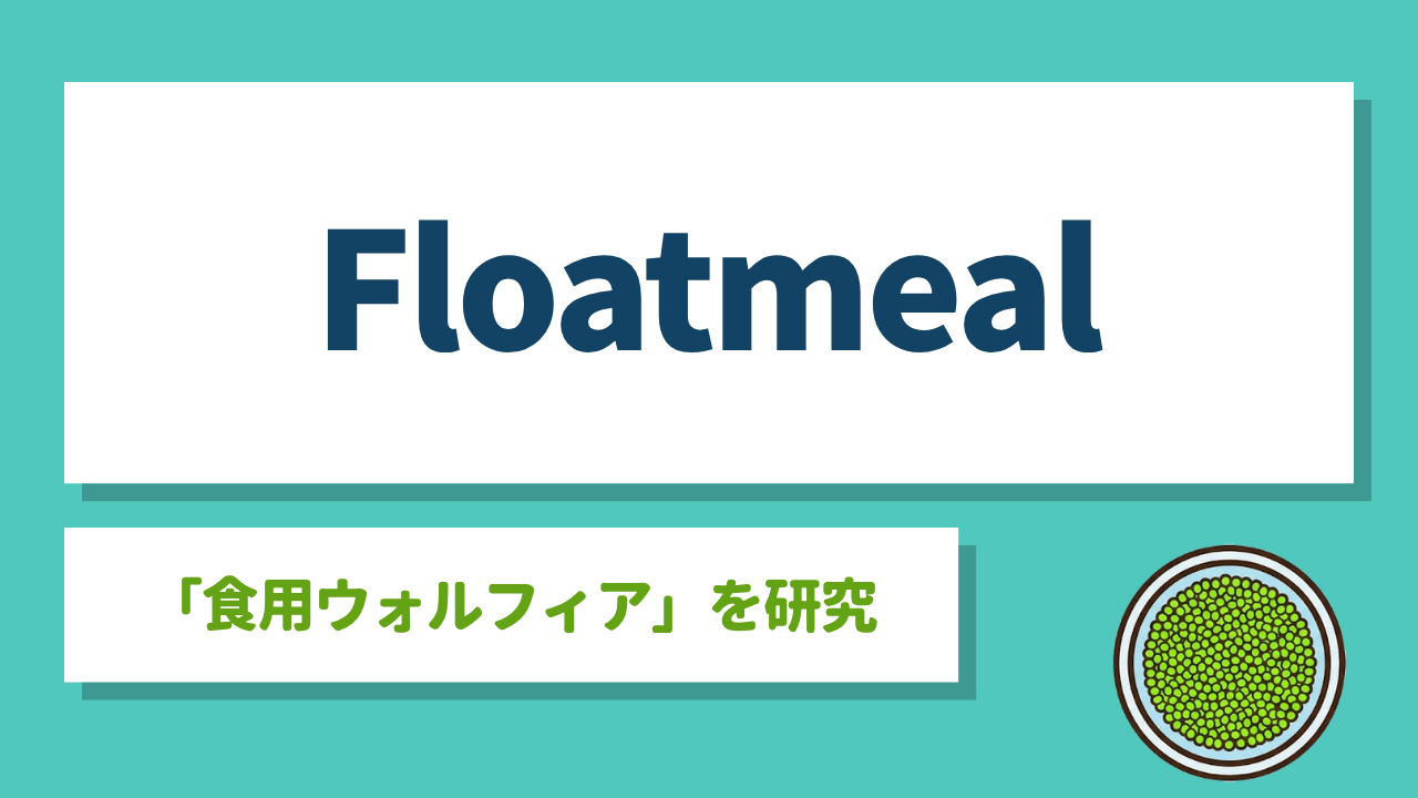 Floatmeal｜ウキクサの一種ウォルフィアを食用に育て代替タンパク質を製造する北海道大学発ディープテック