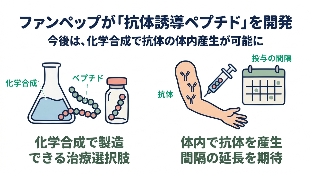 ファンペップが「抗体誘導ペプチド」を開発|今後は、化学合成で抗体の体内産生が可能に|化学合成で製造・できる治療選択肢/体内で抗体を産生・間隔の延長を期待