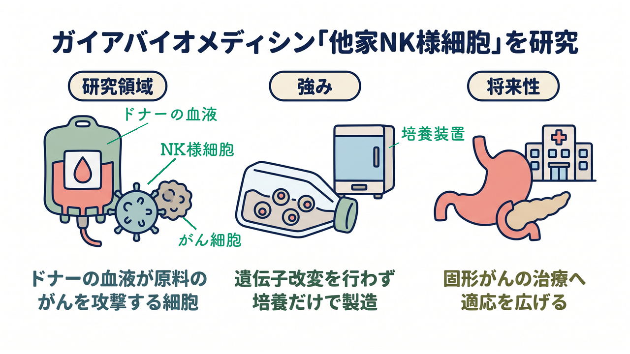 ガイアバイオメディシン「他家NK様細胞」を研究|研究領域=ドナーの血液が原料の/がんを攻撃する細胞/強み=遺伝子改変を行わず/培養だけで製造/将来性=固形がんの治療へ/適応を広げる