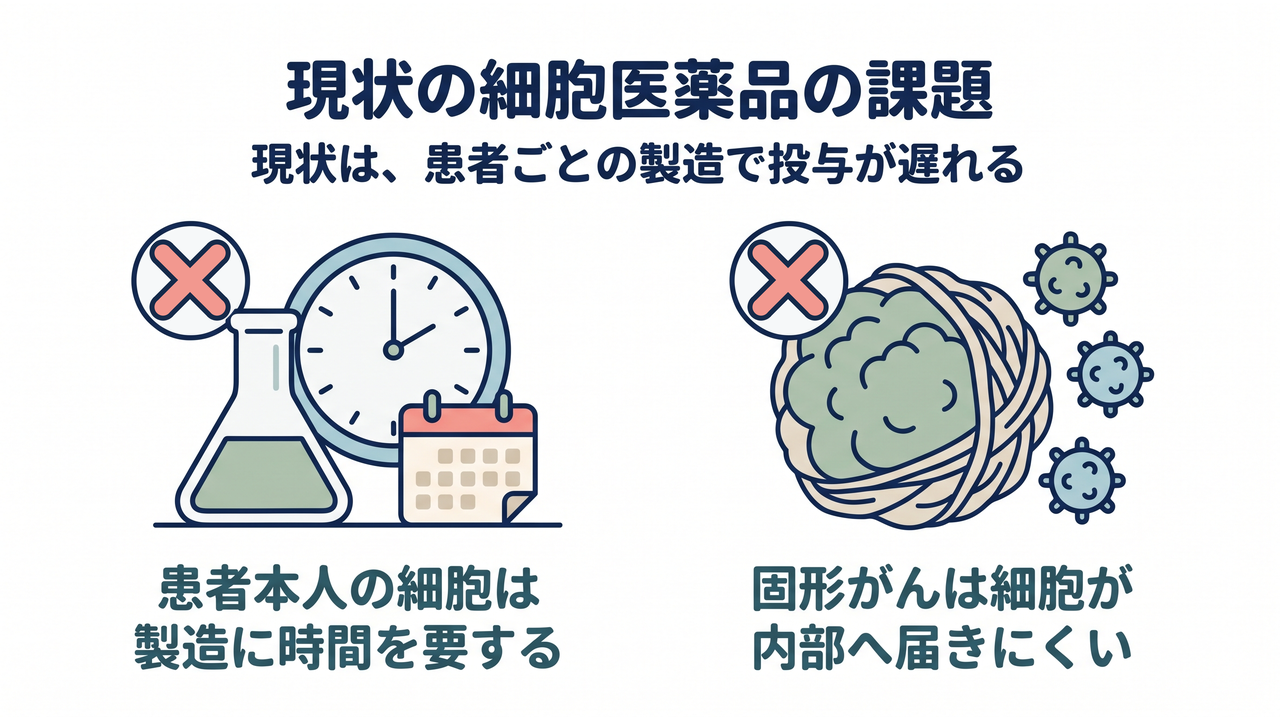 現状の細胞医薬品の課題|現状は、患者ごとの製造で投与が遅れる/患者本人の細胞は/製造に時間を要する/固形がんは細胞が/内部へ届きにくい