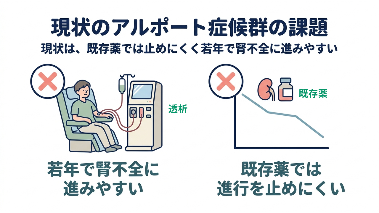 現状のアルポート症候群の課題｜現状は、既存薬では止めにくく若年で腎不全に進みやすい｜若年で腎不全に・進みやすい／既存薬では・進行を止めにくい