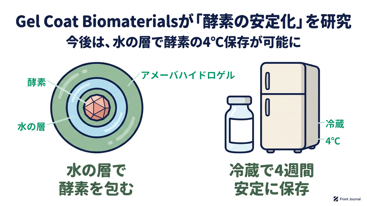 Gel Coat Biomaterialsが「酵素の安定化」を研究