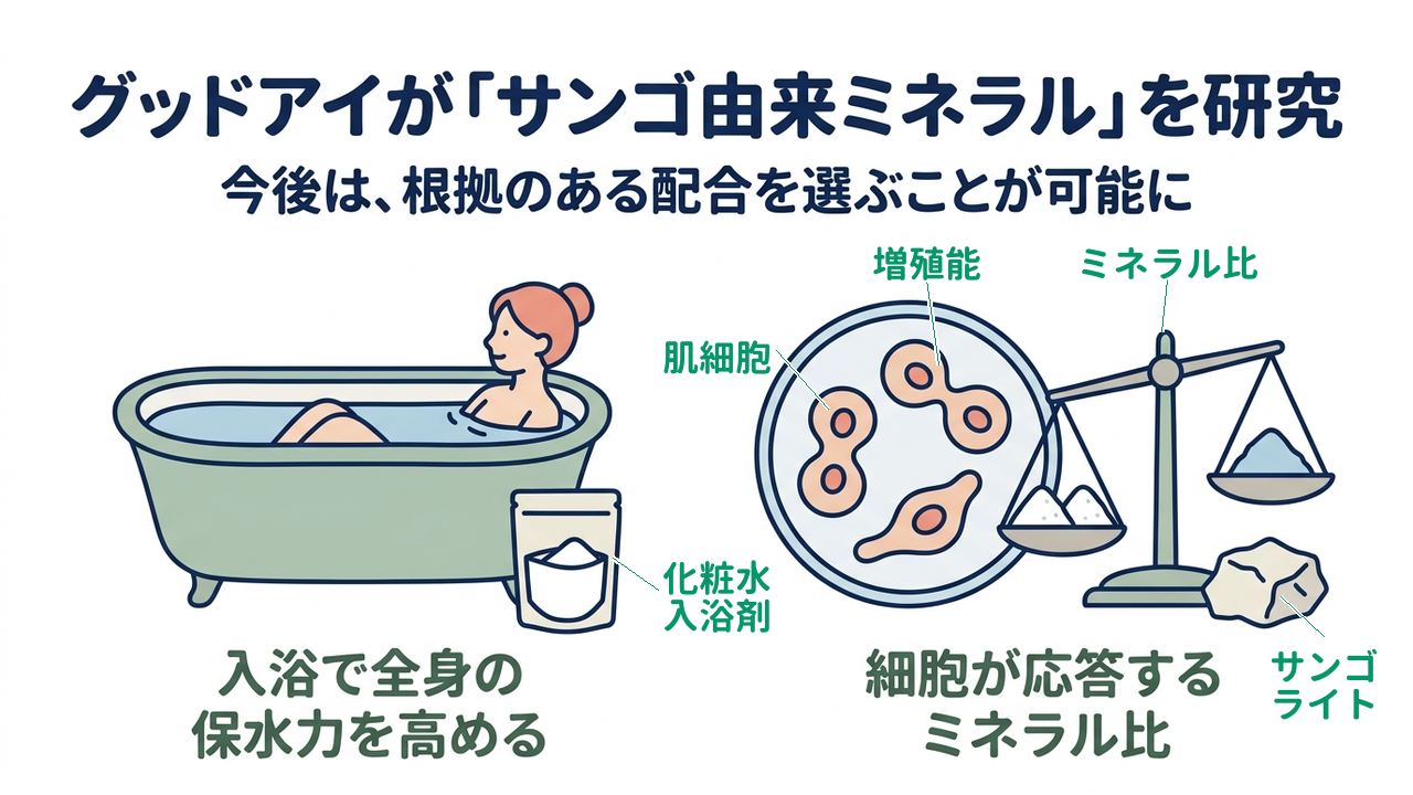 グッドアイが「サンゴ由来ミネラル」を研究｜今後は、根拠のある配合を選ぶことが可能に｜入浴で全身の・保水力を高める／細胞が応答する・ミネラル比