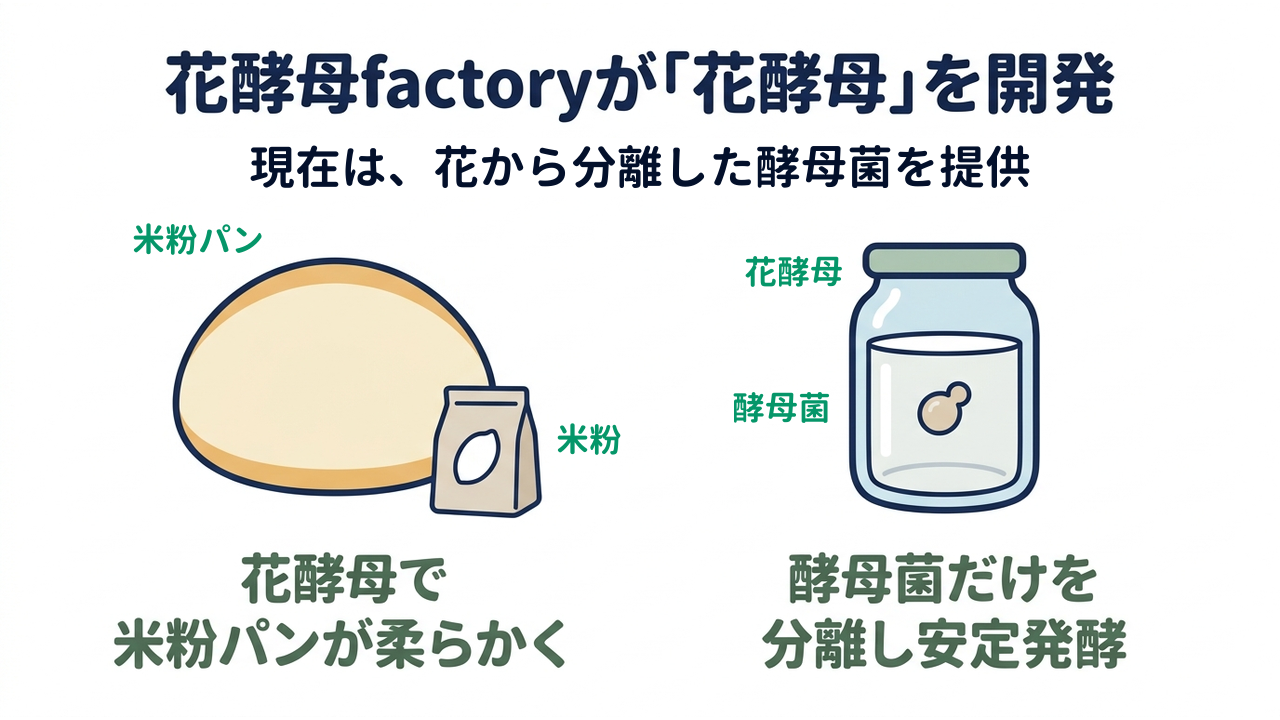 花酵母factoryが「花酵母」を開発|現在は、花から分離した酵母菌を提供|花酵母で・米粉パンが柔らかく/酵母菌だけを・分離し安定発酵