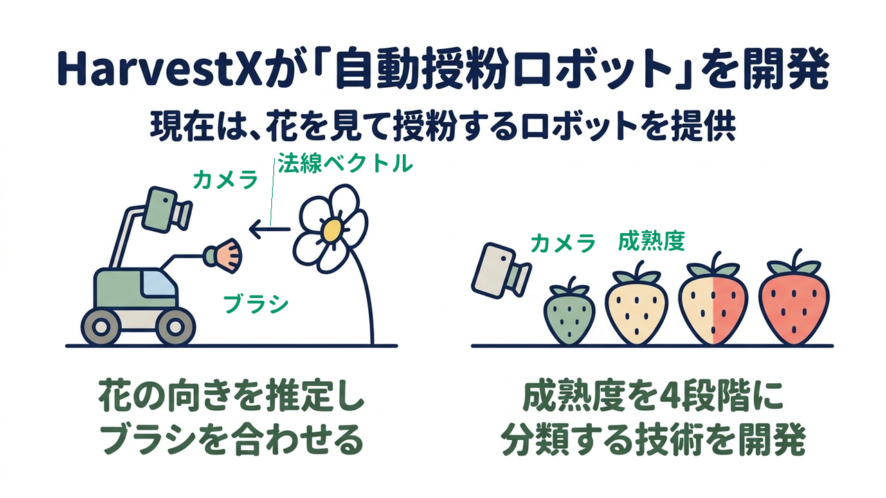 HarvestXが「自動授粉ロボット」を開発｜現在は、花を見て授粉するロボットを提供｜花の向きを推定し・ブラシを合わせる／成熟度を4段階に・分類する技術を開発