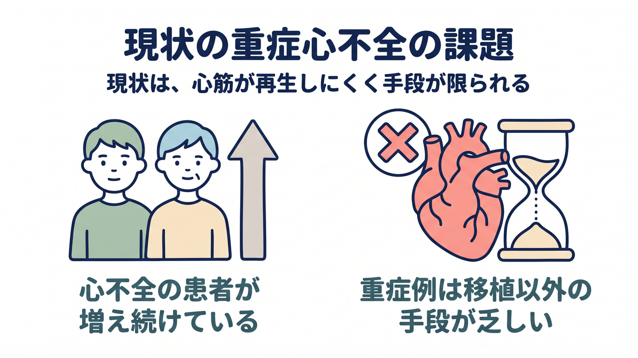 現状の重症心不全の課題|現状は心筋が再生し難く手段が限られる|心不全の患者が増え続けている/重症例は移植以外の手段が乏しい