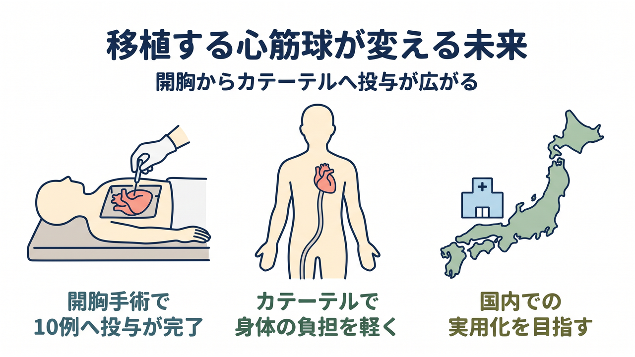 移植する心筋球が変える未来|開胸手術で10例へ投与が完了/カテーテルで身体の負担を軽く/国内での実用化を目指す