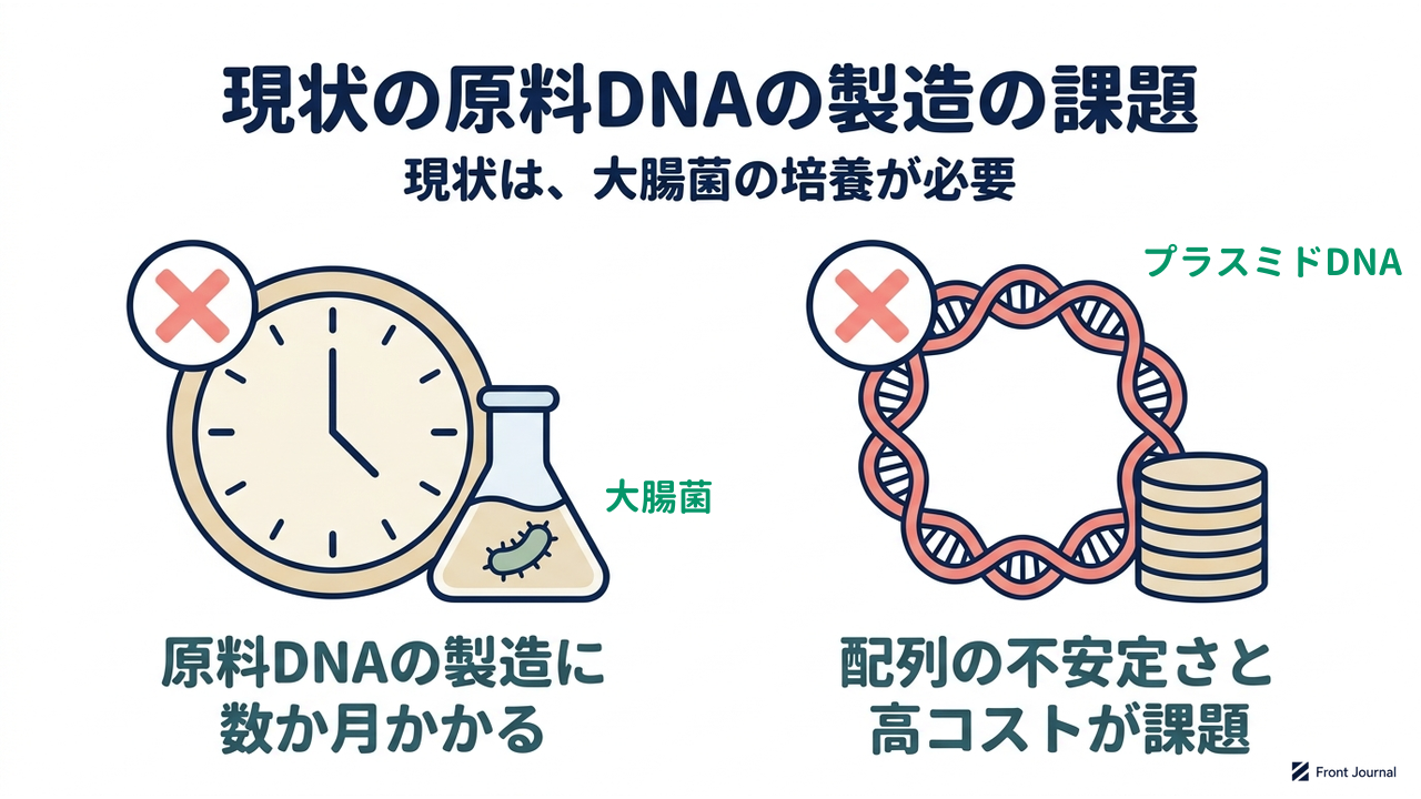 現状の原料DNAの製造の課題