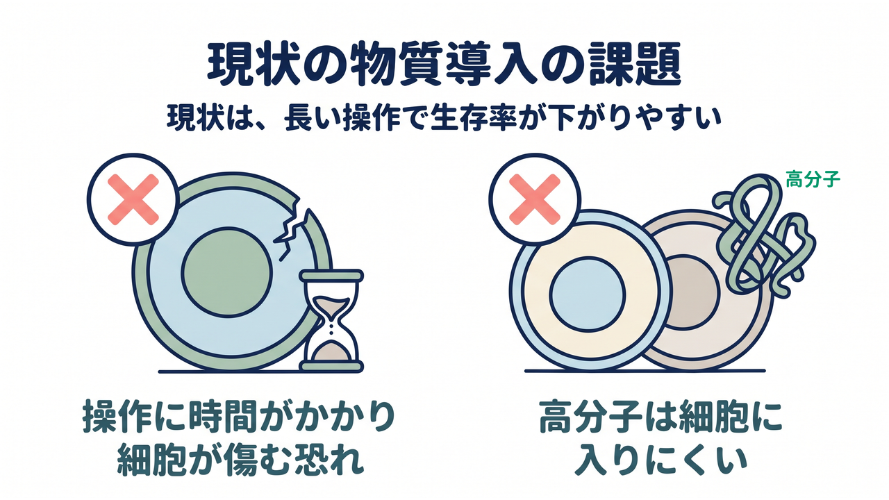 現状の物質導入の課題|操作に時間がかかり細胞が傷む恐れ/高分子は細胞に入りにくい