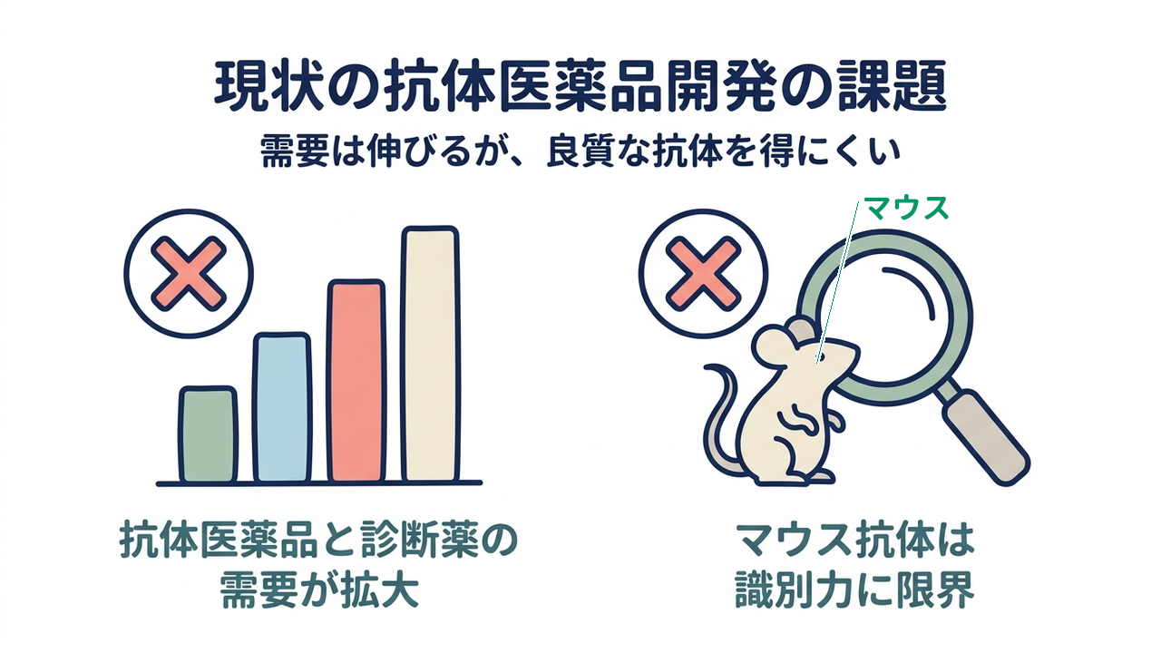 現状の抗体医薬品開発の課題｜需要は伸びるが、良質な抗体を得にくい／抗体医薬品と診断薬の需要が拡大／マウス抗体は識別力に限界