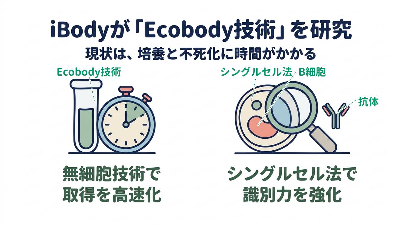 iBodyが「Ecobody技術」を研究｜現状は、培養と不死化に時間がかかる／無細胞技術で取得を高速化／シングルセル法で識別力を強化