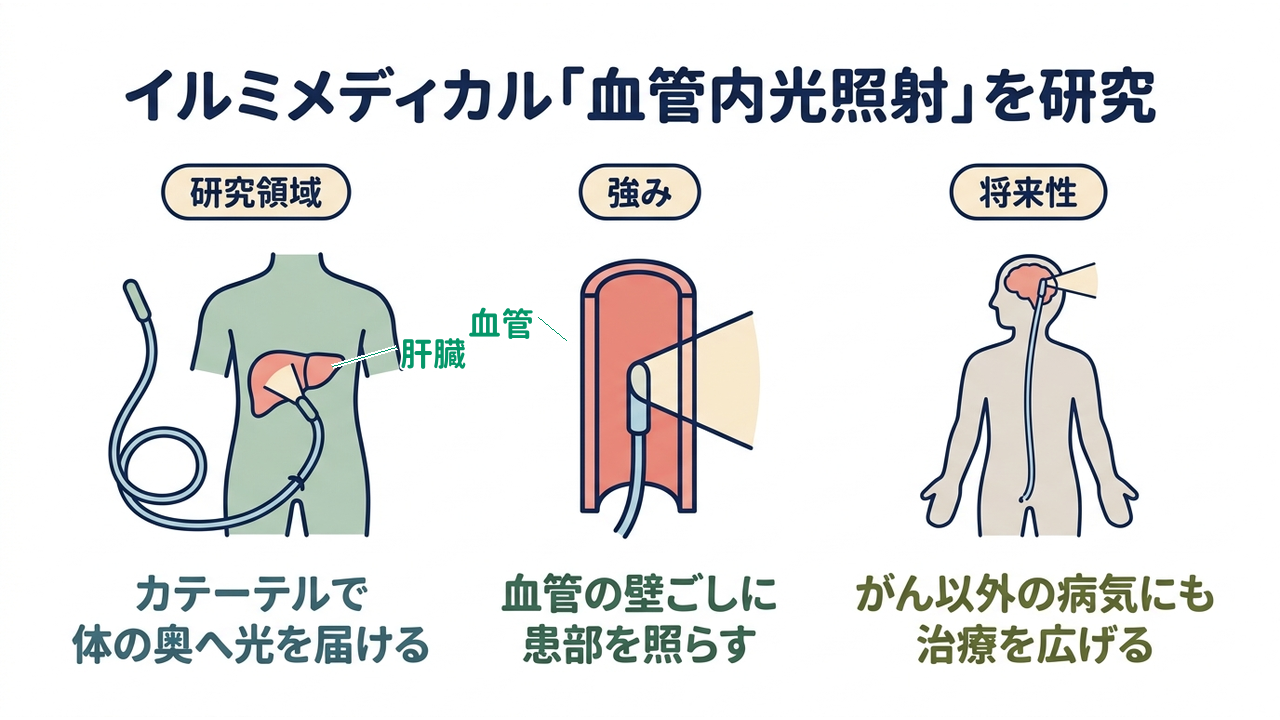 イルミメディカル「血管内光照射」を研究｜研究領域=カテーテルで・体の奥へ光を届ける／強み=血管の壁ごしに・患部を照らす／将来性=がん以外の病気にも・治療を広げる