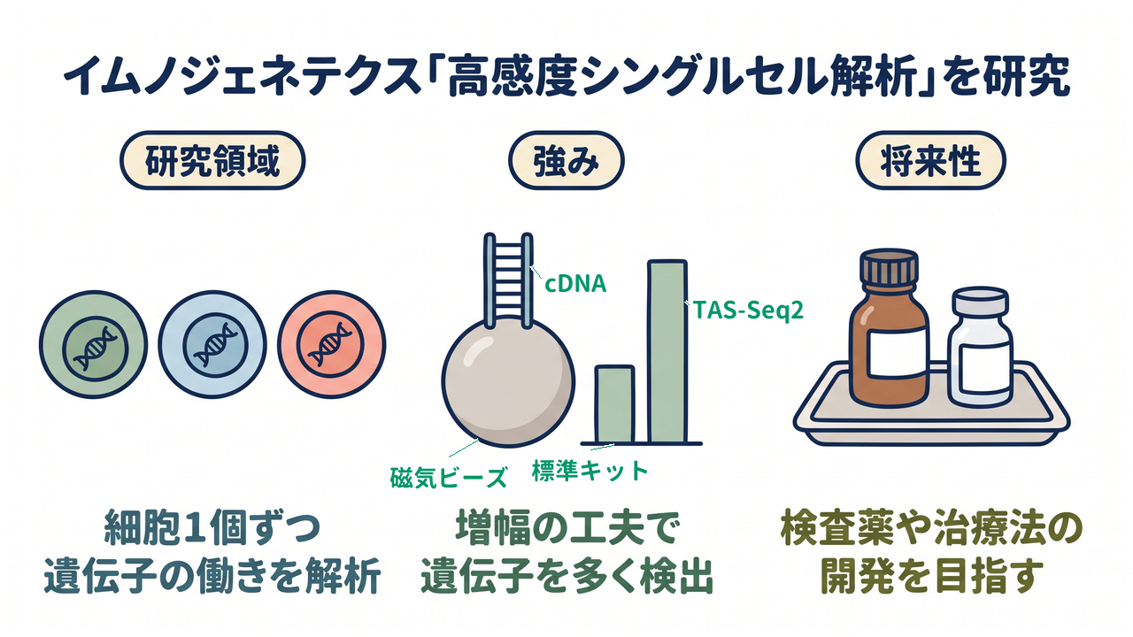 イムノジェネテクス「高感度シングルセル解析」を研究｜研究領域=細胞1個ずつ・遺伝子の働きを解析／強み=増幅の工夫で・遺伝子を多く検出／将来性=検査薬や治療法の・開発を目指す