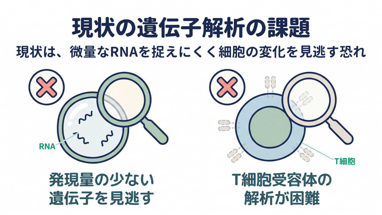 現状の遺伝子解析の課題｜現状は、微量なRNAを捉えにくく細胞の変化を見逃す恐れ｜発現量の少ない・遺伝子を見逃す／T細胞受容体の・解析が困難
