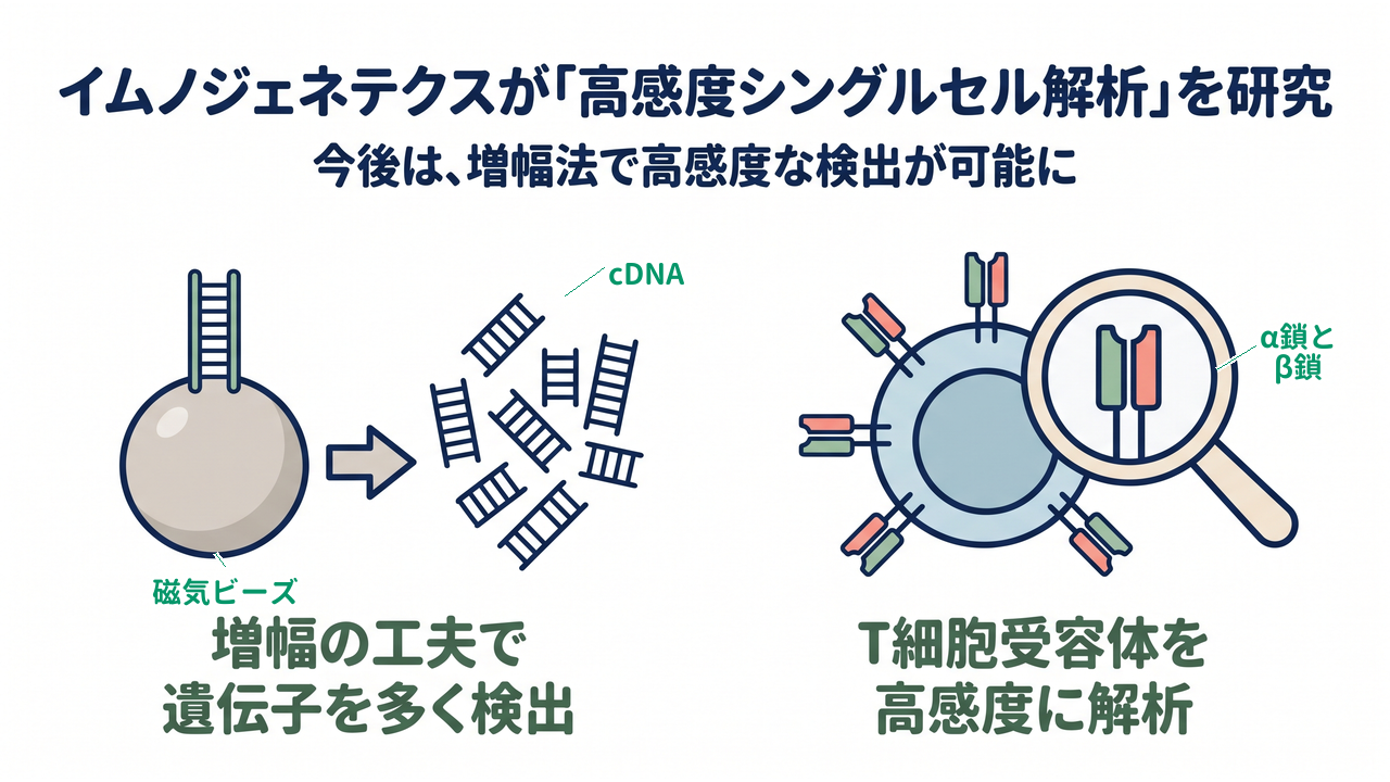 イムノジェネテクスが「高感度シングルセル解析」を研究｜今後は、増幅法で高感度な検出が可能に｜増幅の工夫で・遺伝子を多く検出／T細胞受容体を・高感度に解析