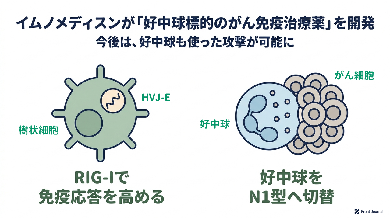 イムノメディスンが「好中球標的のがん免疫治療薬」を開発
