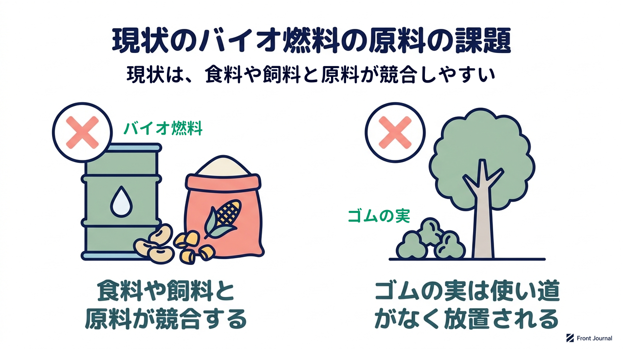 現状のバイオ燃料の原料の課題｜現状は、食料と競合し原料が不足しやすい｜食料や飼料と・原料が競合する／ゴムの実は使い道・がなく放置される