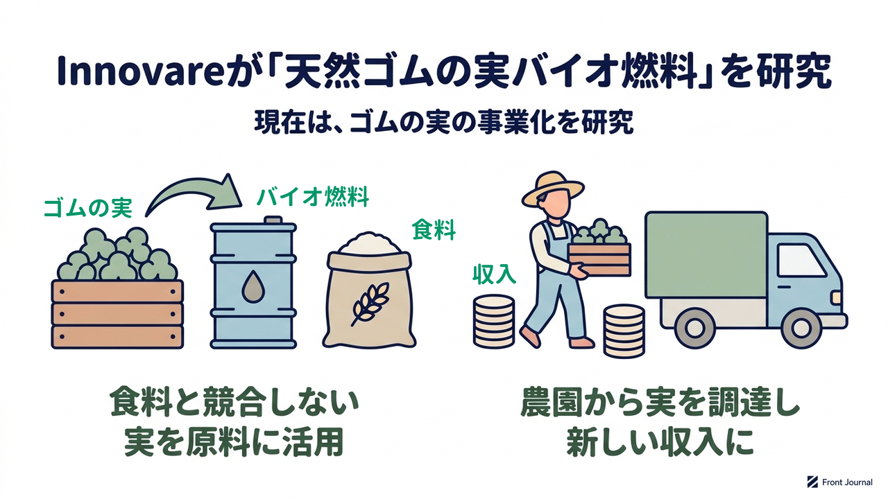 Innovareが「天然ゴムの実バイオ燃料」を研究｜現在は、ゴムの実の事業化を研究｜食料と競合しない・実を原料に活用／農園から実を調達し・新しい収入に