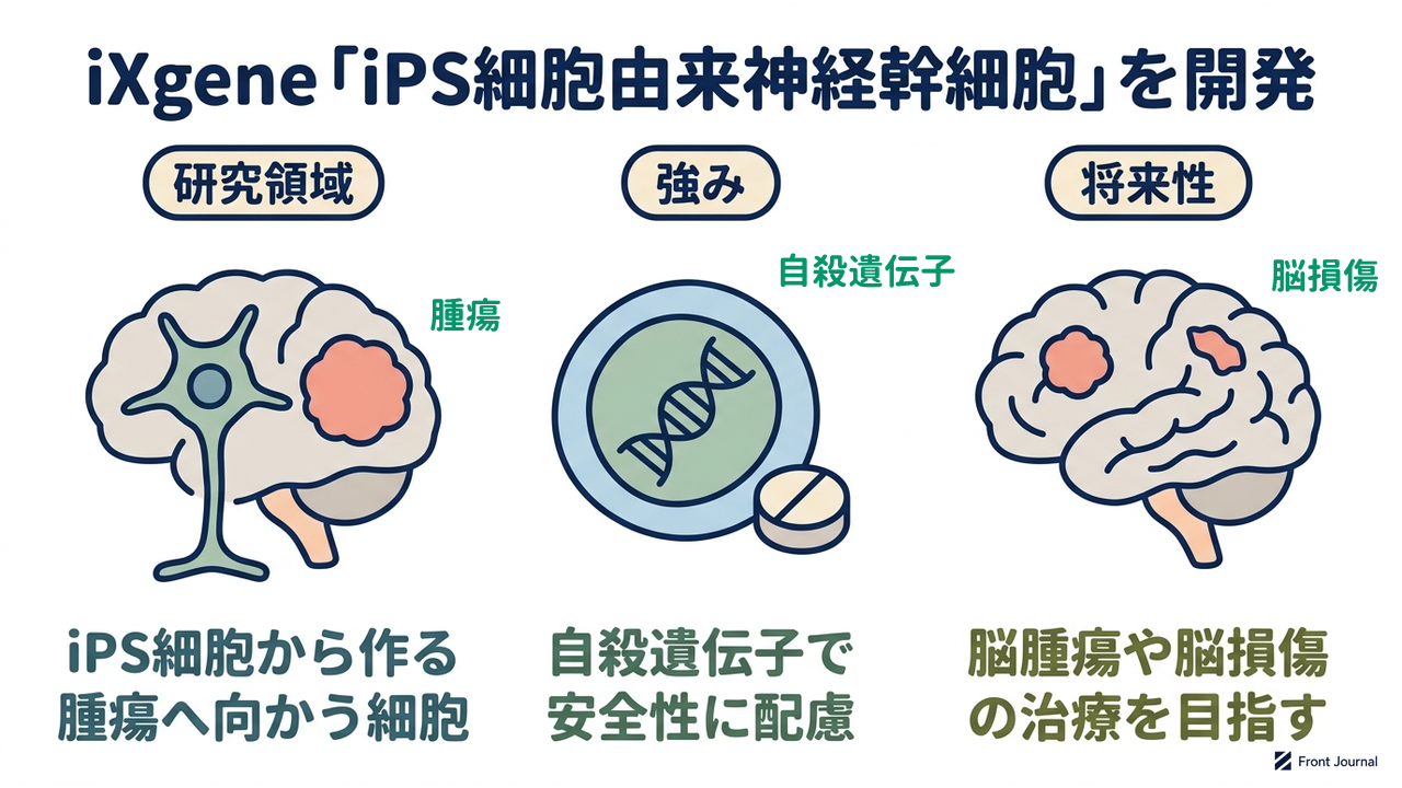 iXgene「iPS細胞由来神経幹細胞」を開発｜研究領域=iPS細胞から作る腫瘍へ向かう細胞／強み=自殺遺伝子で安全性に配慮／将来性=脳腫瘍や脳損傷の治療を目指す