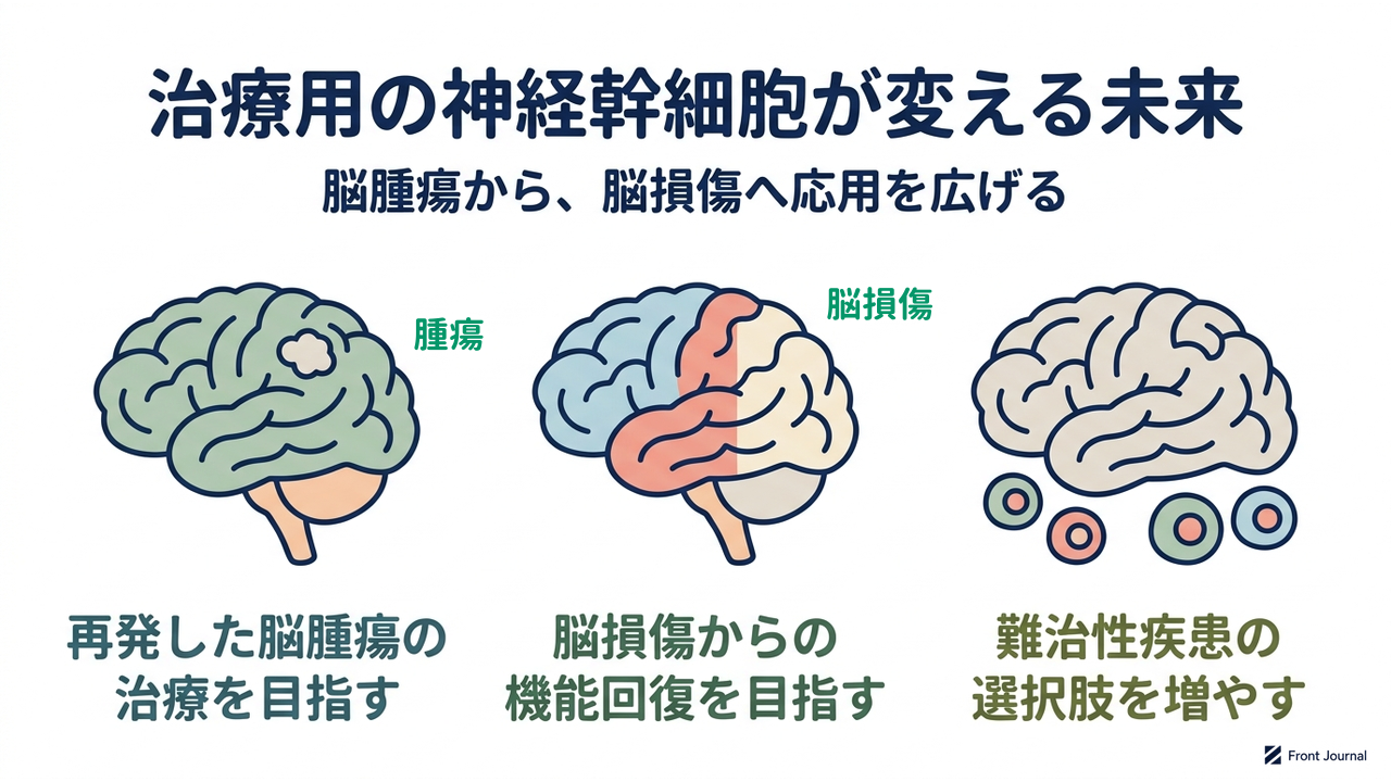 治療用の神経幹細胞が変える未来｜脳腫瘍から、脳損傷へ応用を広げる／再発した脳腫瘍の治療を目指す／脳損傷からの機能回復を目指す／難治性疾患の選択肢を増やす
