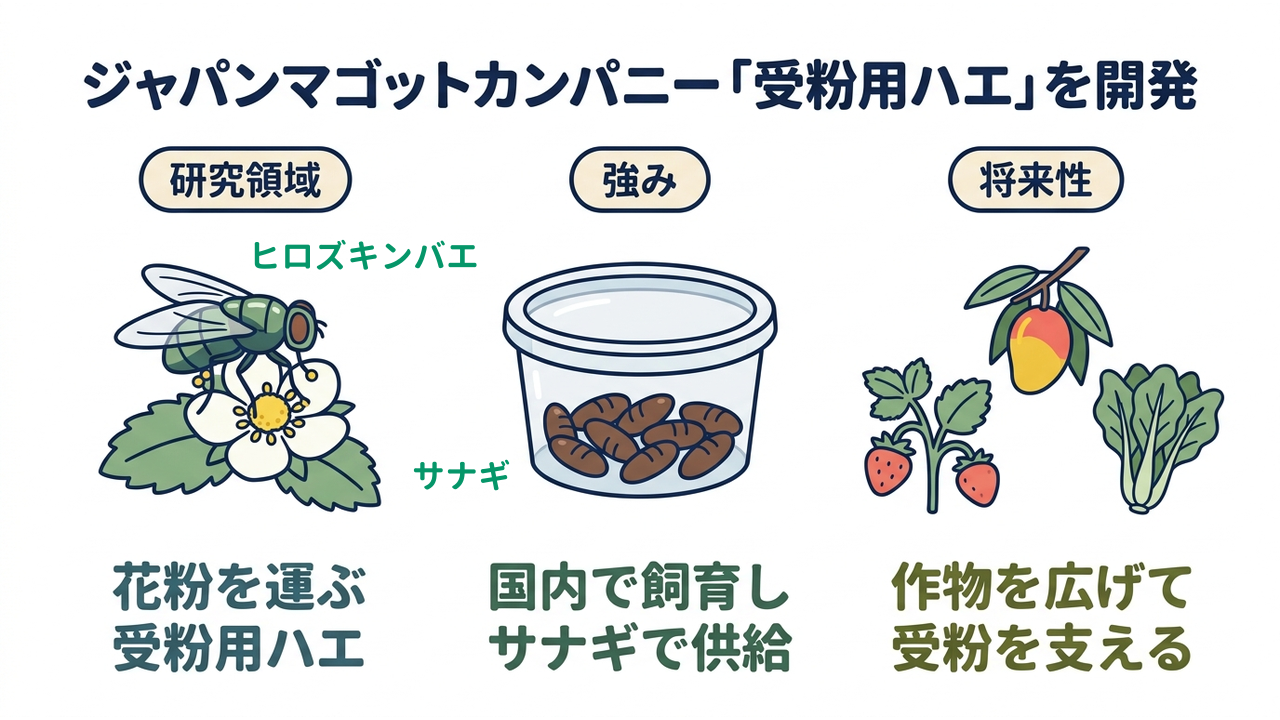 ジャパンマゴットカンパニー「受粉用ハエ」を開発|研究領域=花粉を運ぶ・受粉用ハエ/強み=国内で飼育し・サナギで供給/将来性=作物を広げて・受粉を支える