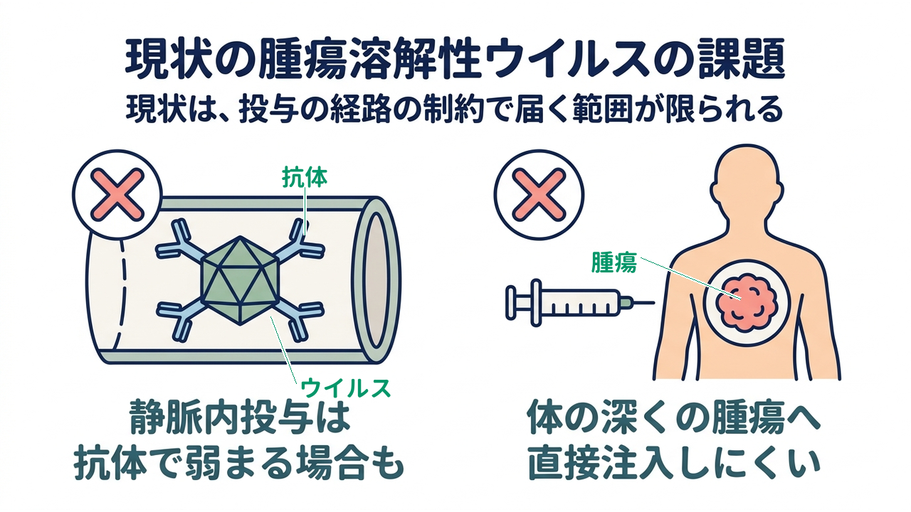 現状の腫瘍溶解性ウイルスの課題｜現状は、投与の経路の制約で届く範囲が限られる／静脈内投与は抗体で弱まる場合も／体の深くの腫瘍へ直接注入しにくい