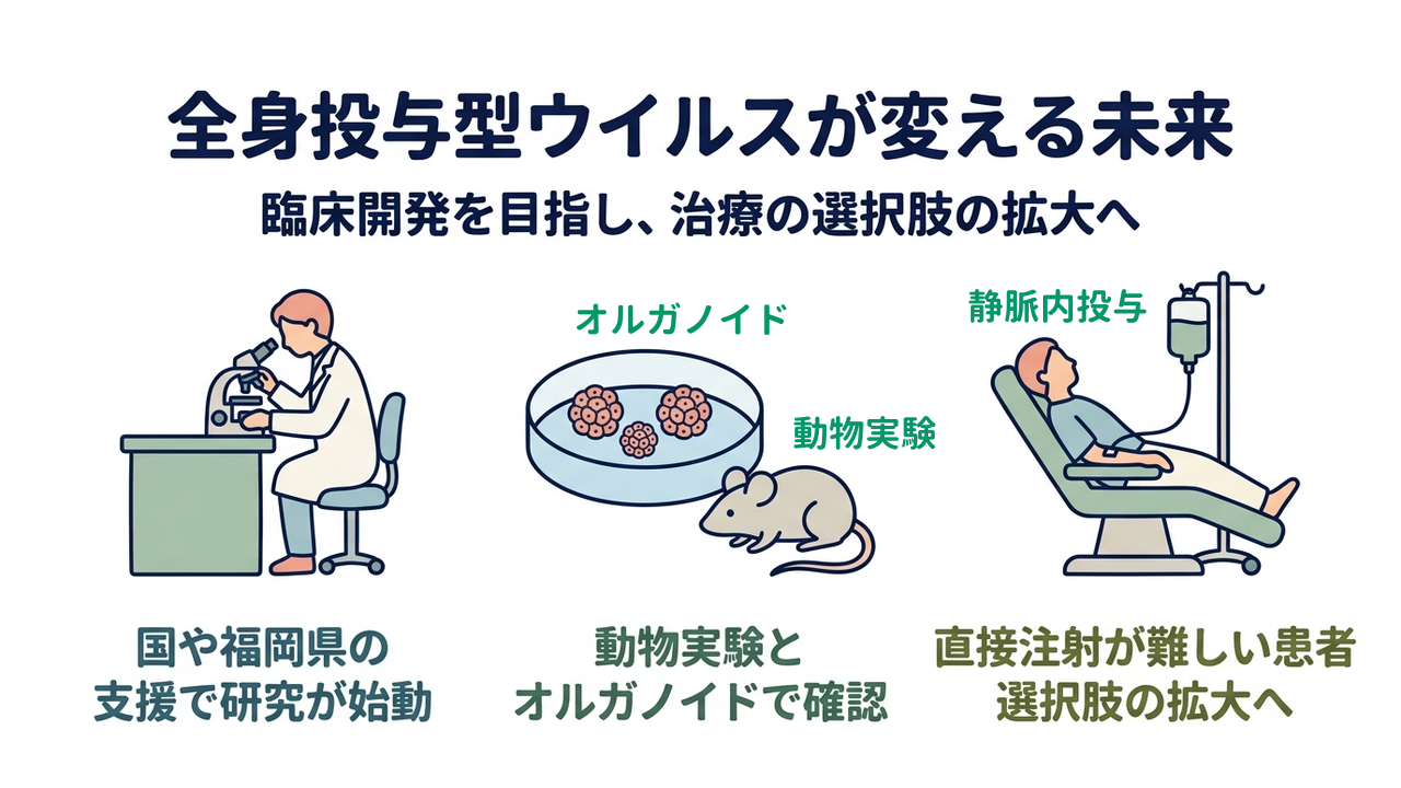 全身投与型ウイルスが変える未来｜臨床開発を目指し、治療の選択肢の拡大へ／国や福岡県の支援で研究が始動／動物実験とオルガノイドで確認／直接注射が難しい患者の選択肢の拡大へ
