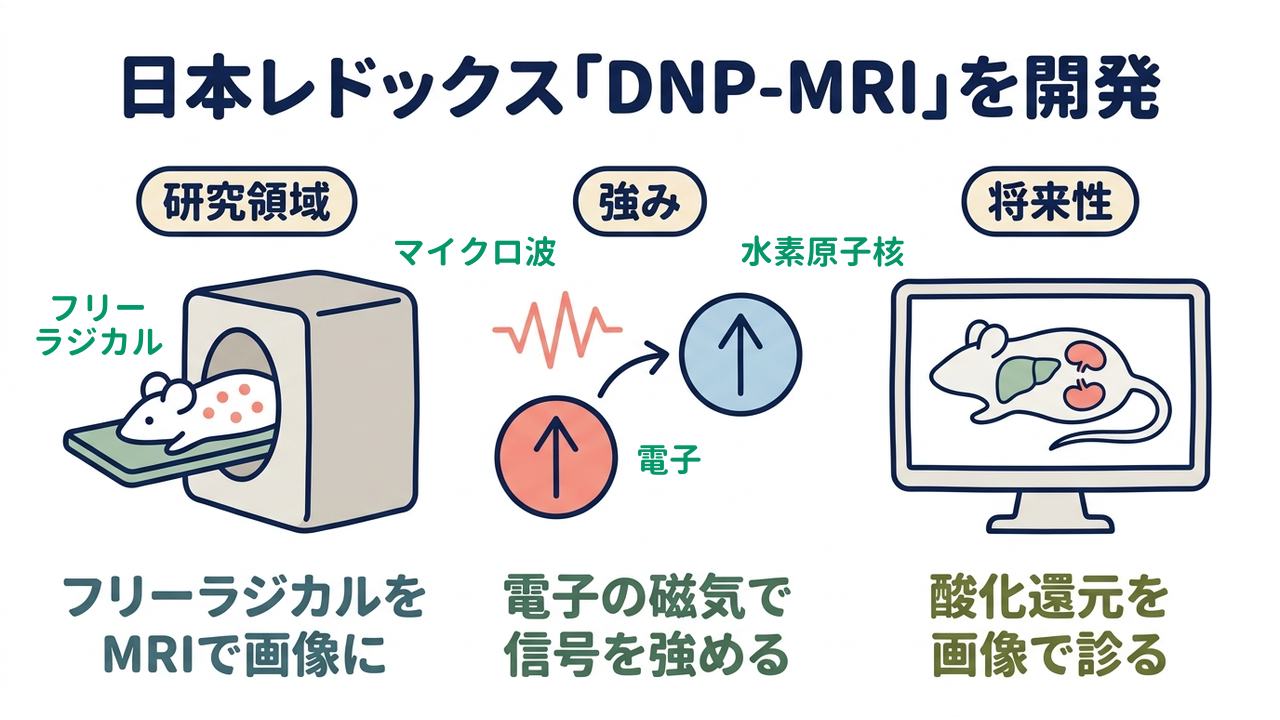 日本レドックス「DNP-MRI」を開発