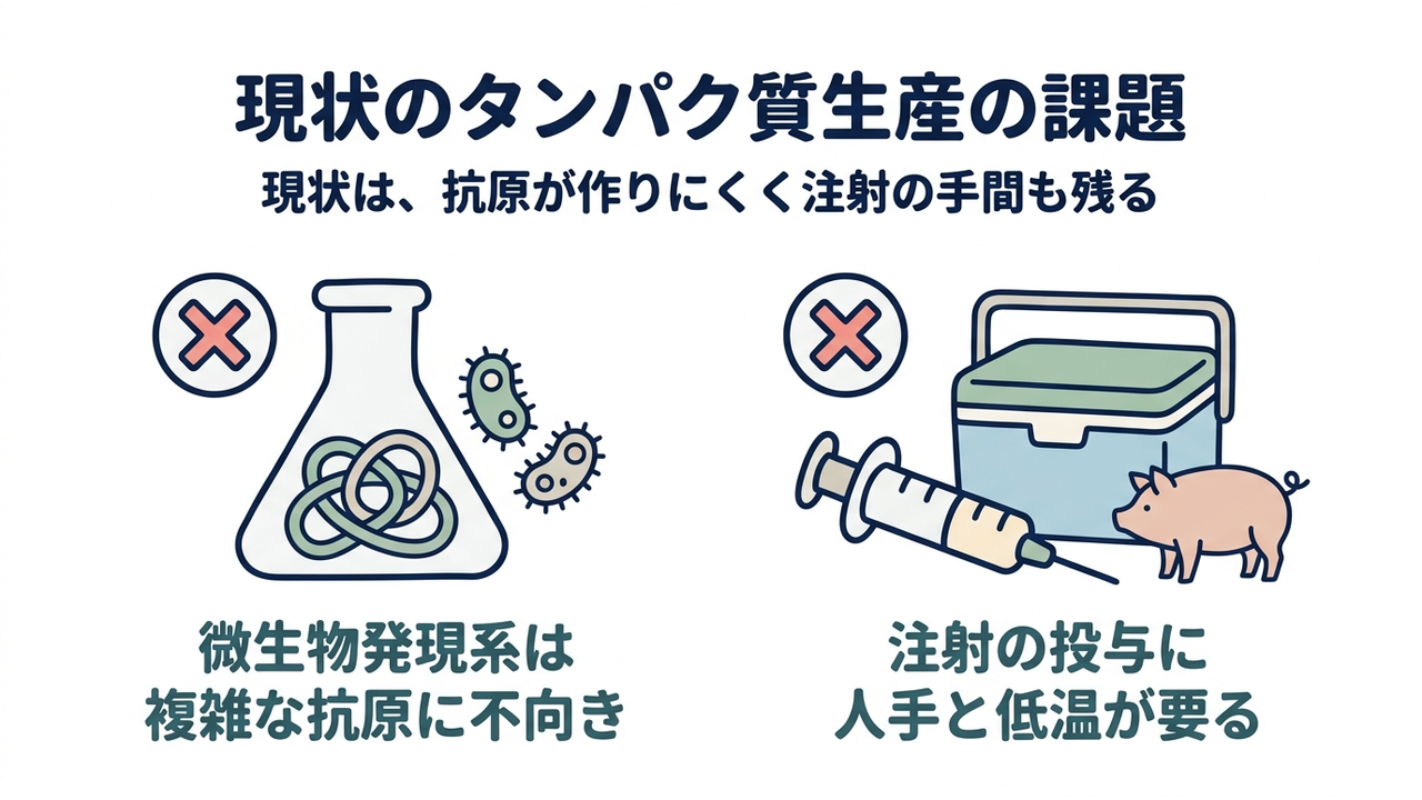 現状のタンパク質生産の課題｜現状は、抗原が作りにくく注射の手間も残る／微生物発現系は複雑な抗原に不向き／注射の投与に人手と低温が要る