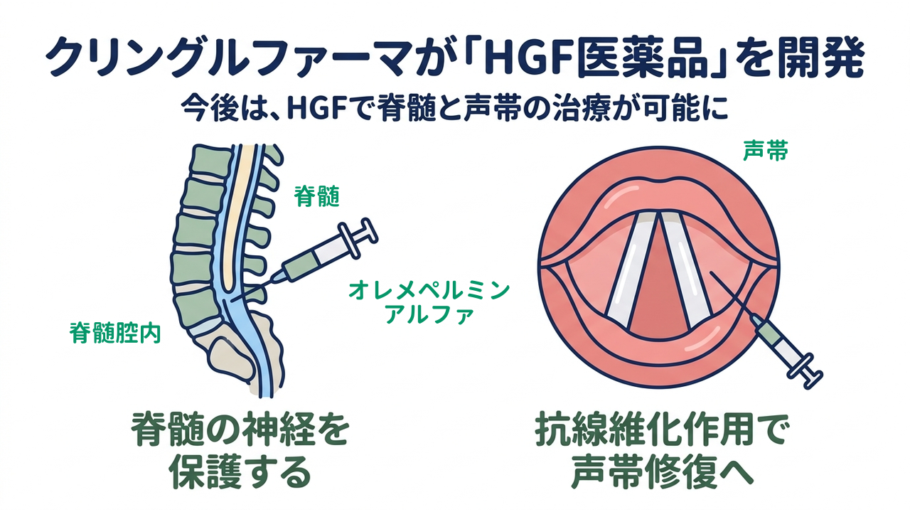 クリングルファーマが「HGF医薬品」を開発