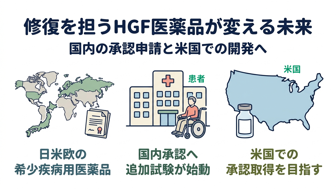 修復を担うHGF医薬品が変える未来