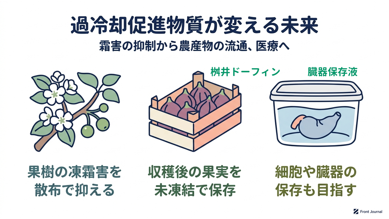 過冷却促進物質が変える未来