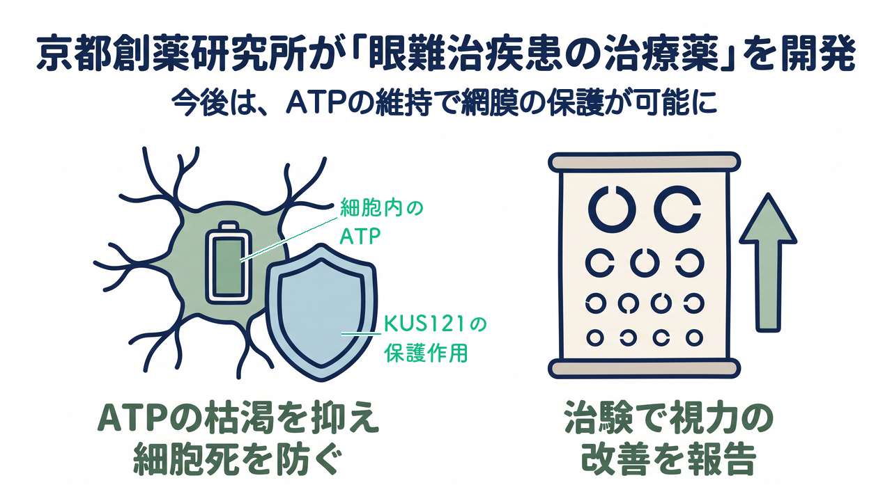 京都創薬研究所が「眼難治疾患の治療薬」を開発｜今後は、ATPの維持で網膜の保護が可能に／ATPの枯渇を抑え細胞死を防ぐ／治験で視力の改善を報告