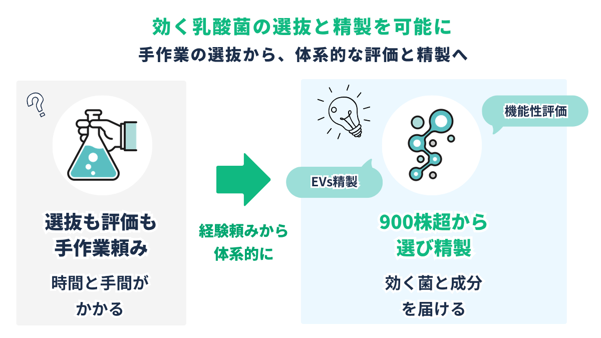 LABバイオテックの強み|従来は手作業頼み/900株超から選び、乳酸菌エクソソームを高純度で精製する