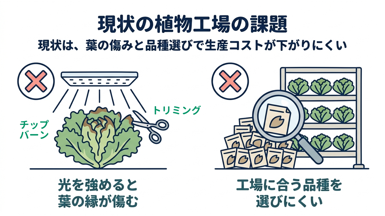 現状の植物工場の課題