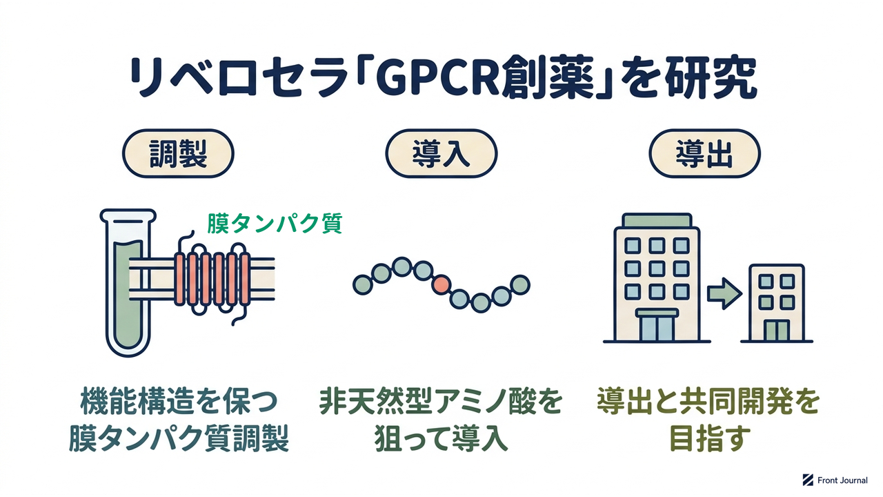 リベロセラ「GPCR創薬」を研究