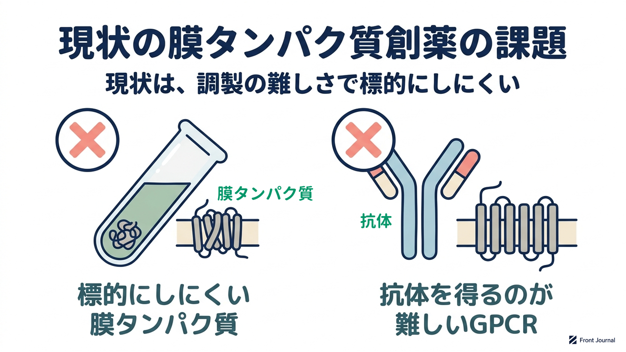 現状の膜タンパク質創薬の課題