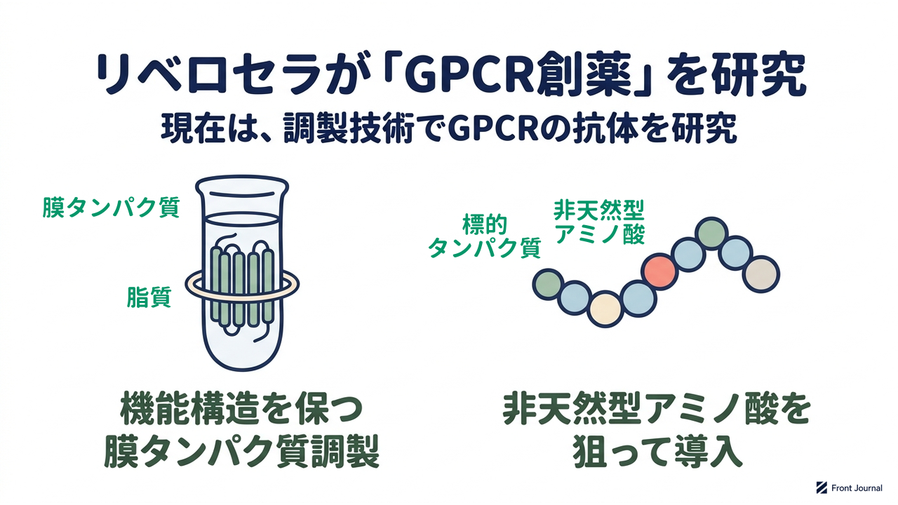 リベロセラが「GPCR創薬」を研究