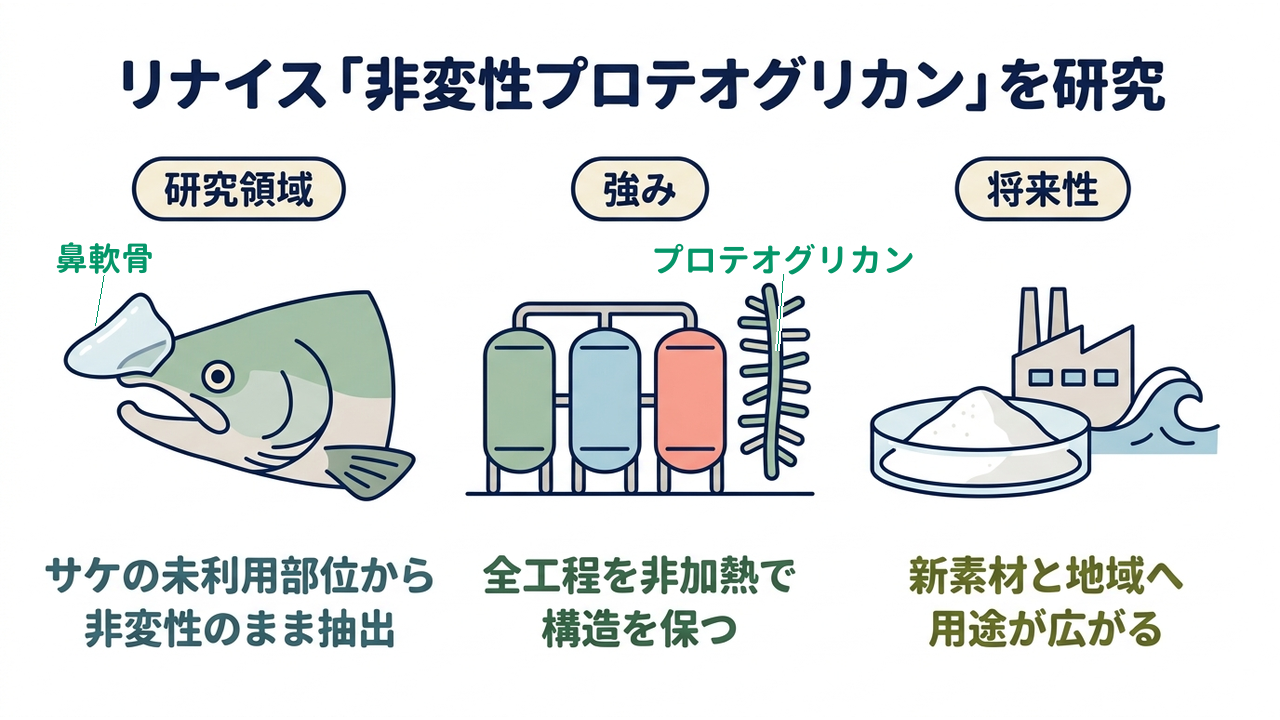 リナイス「非変性プロテオグリカン」を研究｜研究領域=サケの未利用部位から・非変性のまま抽出／強み=全工程を非加熱で・構造を保つ／将来性=新素材と地域へ・用途が広がる