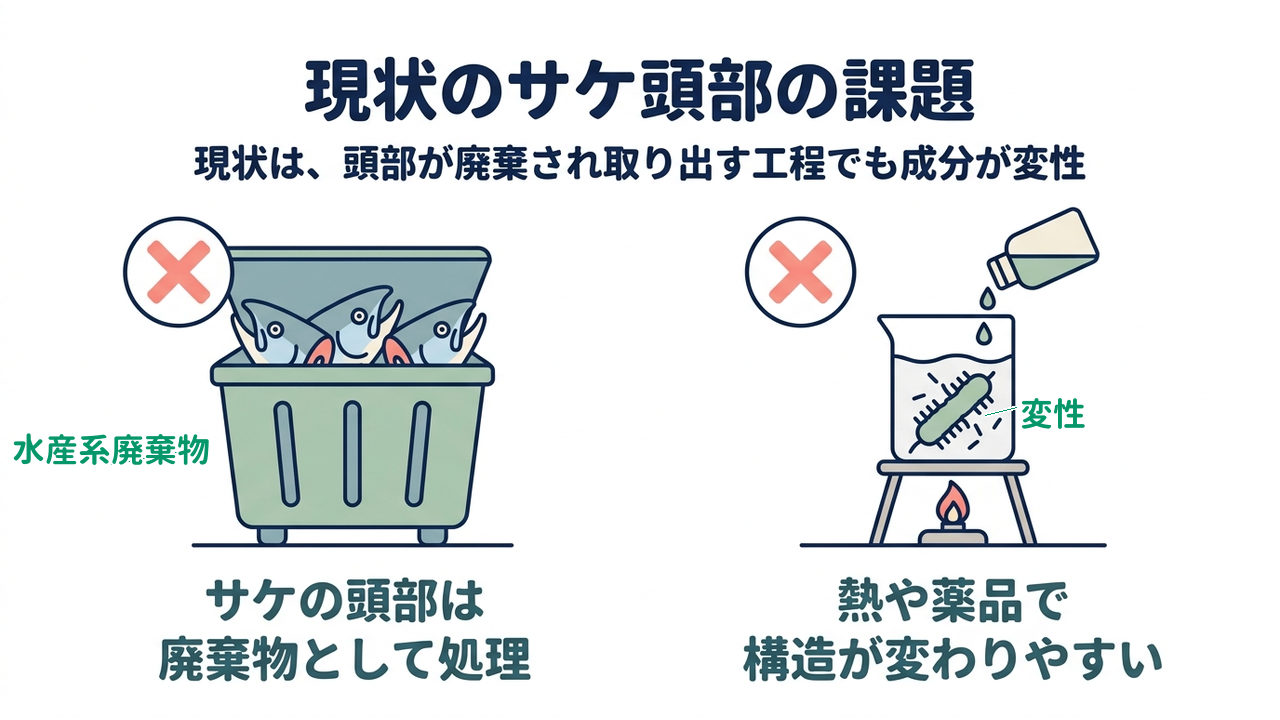 現状のサケ頭部の課題｜現状は、頭部が廃棄され取り出す工程でも成分が変性｜サケの頭部は・廃棄物として処理／熱や薬品で・構造が変わりやすい